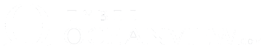 Banner Logo